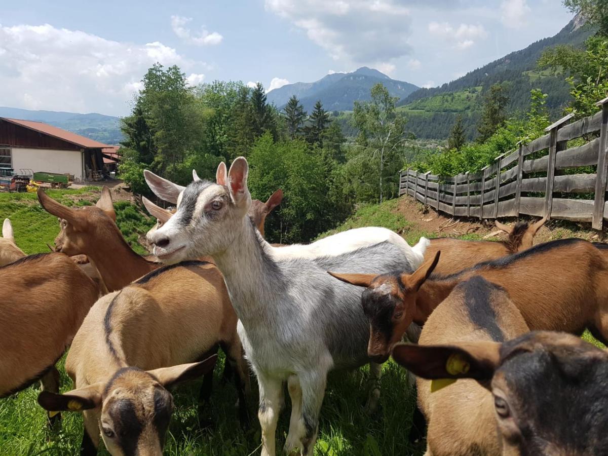Farm stay Agritur Maso Piasina *